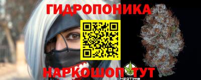 дмт Канаш