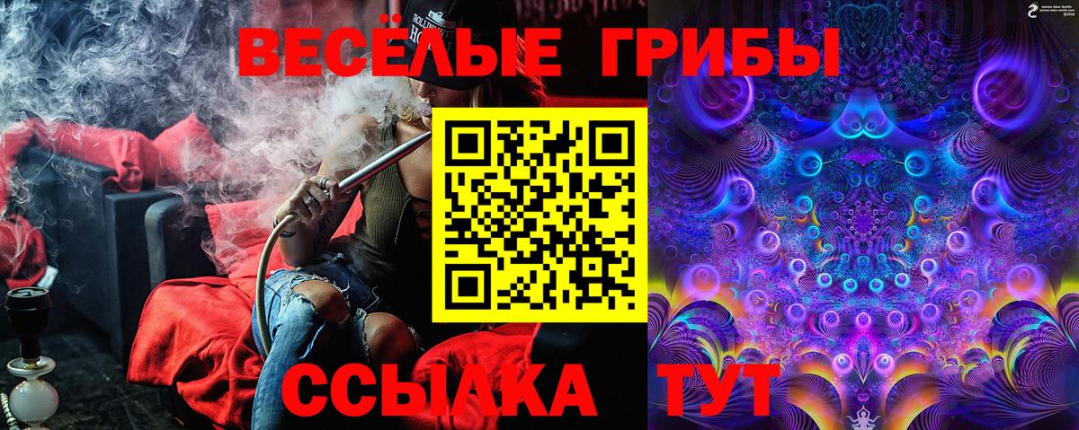Псилоцибиновые грибы Cubensis Дюртюли