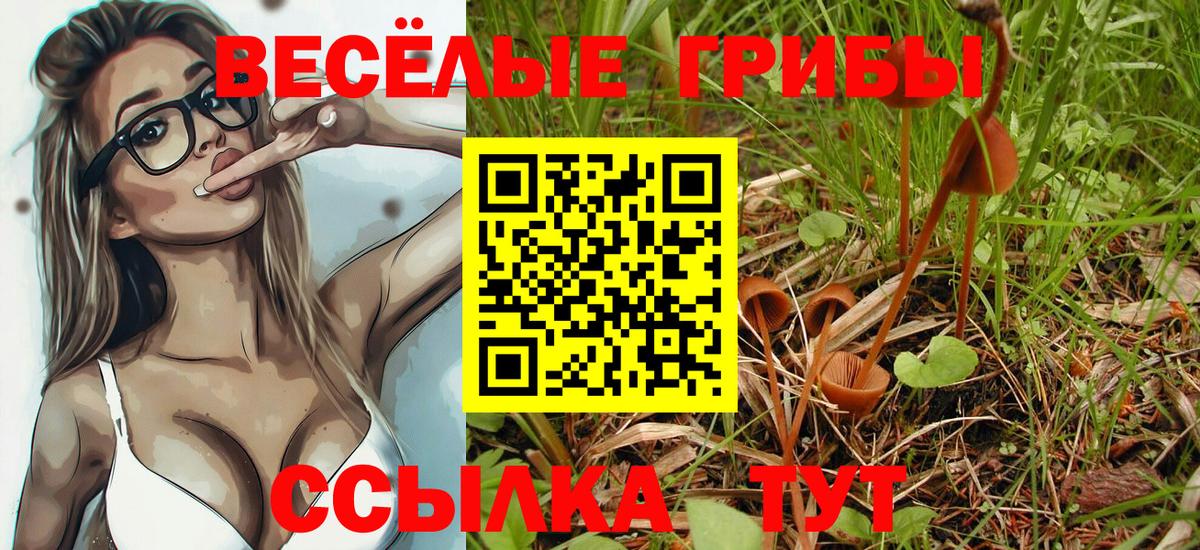 где найти наркотики  Вход с VPN  Дюртюли  Галлюциногенные грибы прущие грибы 